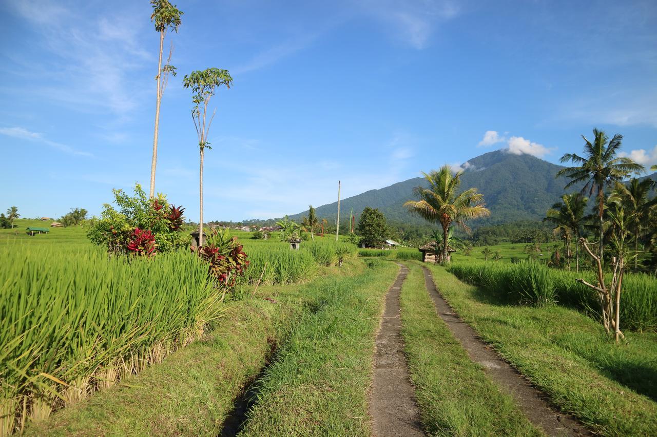 Sang Giri Mountain Tent Resort Jatiluwih Exterior foto